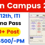 3 Company Open Campus Placement 2024