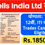 Havells India Ltd Recruitment 2024