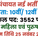 Panchayat Sachiv Vacancy 2025