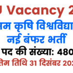 AAU Latest Vacancy 2025