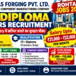 P. Daas Forging Rohtak Jobs 2026